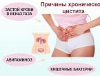 Shvidke et remède efficace contre la cystite féminine à domicile Traitement de la cystite chez la femme